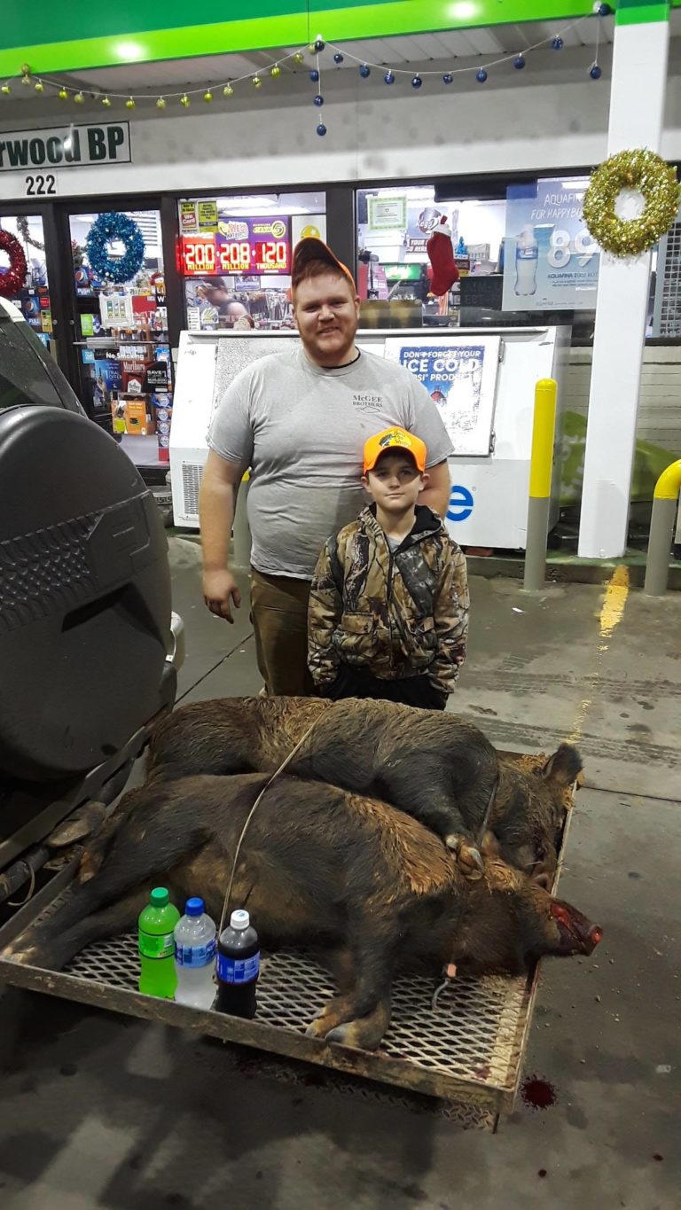 hog hunting trips north carolina